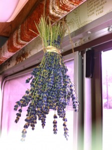 Enticing the senses in a band van